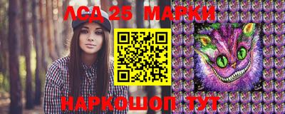 стаф Новозыбков
