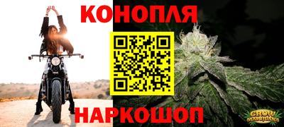 стаф Новозыбков