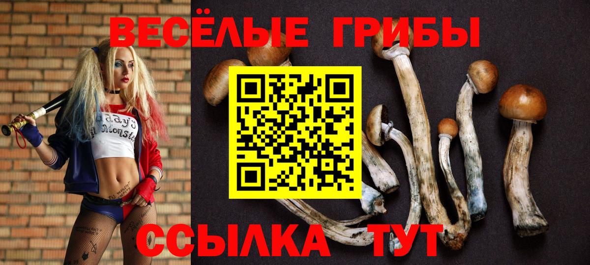 Галлюциногенные грибы Psilocybine cubensis  Галлюциногенные грибы ЛСД  цены   Вход с VPN  Скопин 